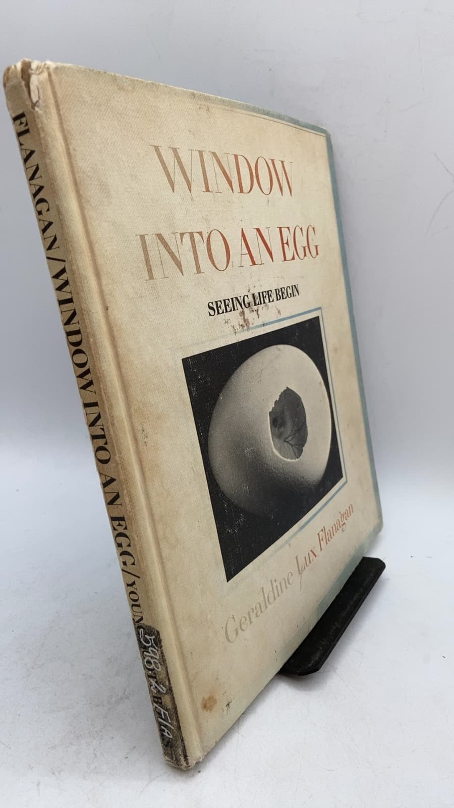 Window Into an Egg: Seeing Life Begin