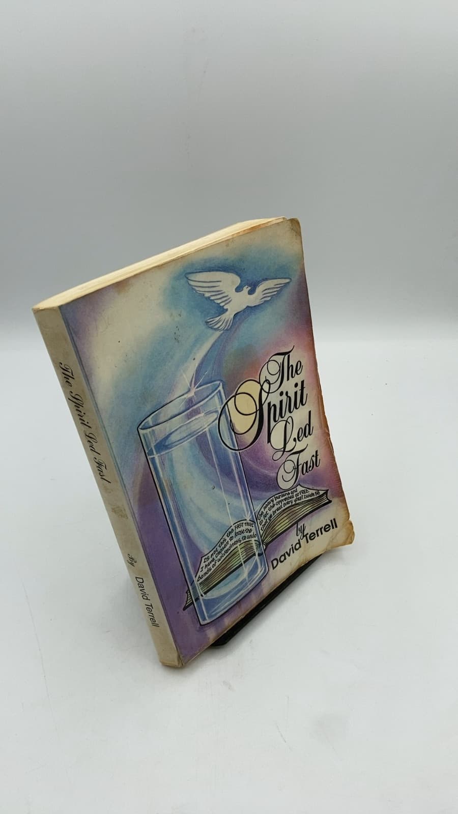 The Spirit Led Fast by David Terrell - front cover