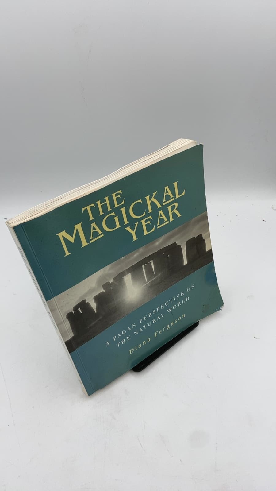 The Magickal Year by Diana Ferguson - front cover