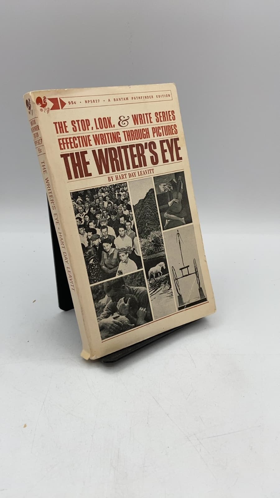 The Writer's Eye by Hart Day Leavitt - front cover