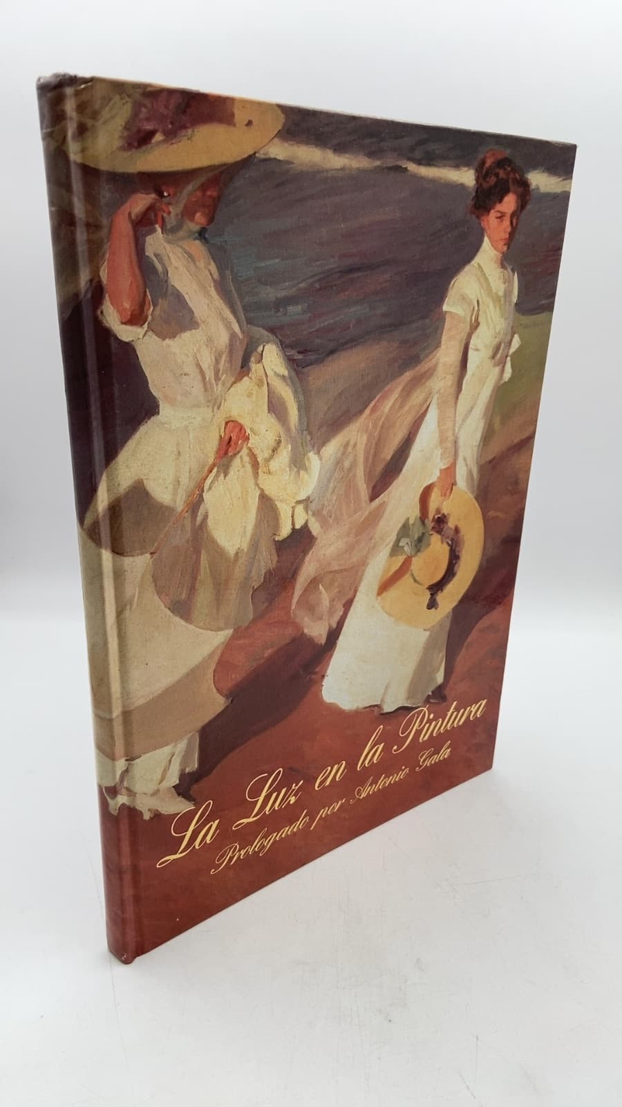 La Luz en la Pintura - front cover