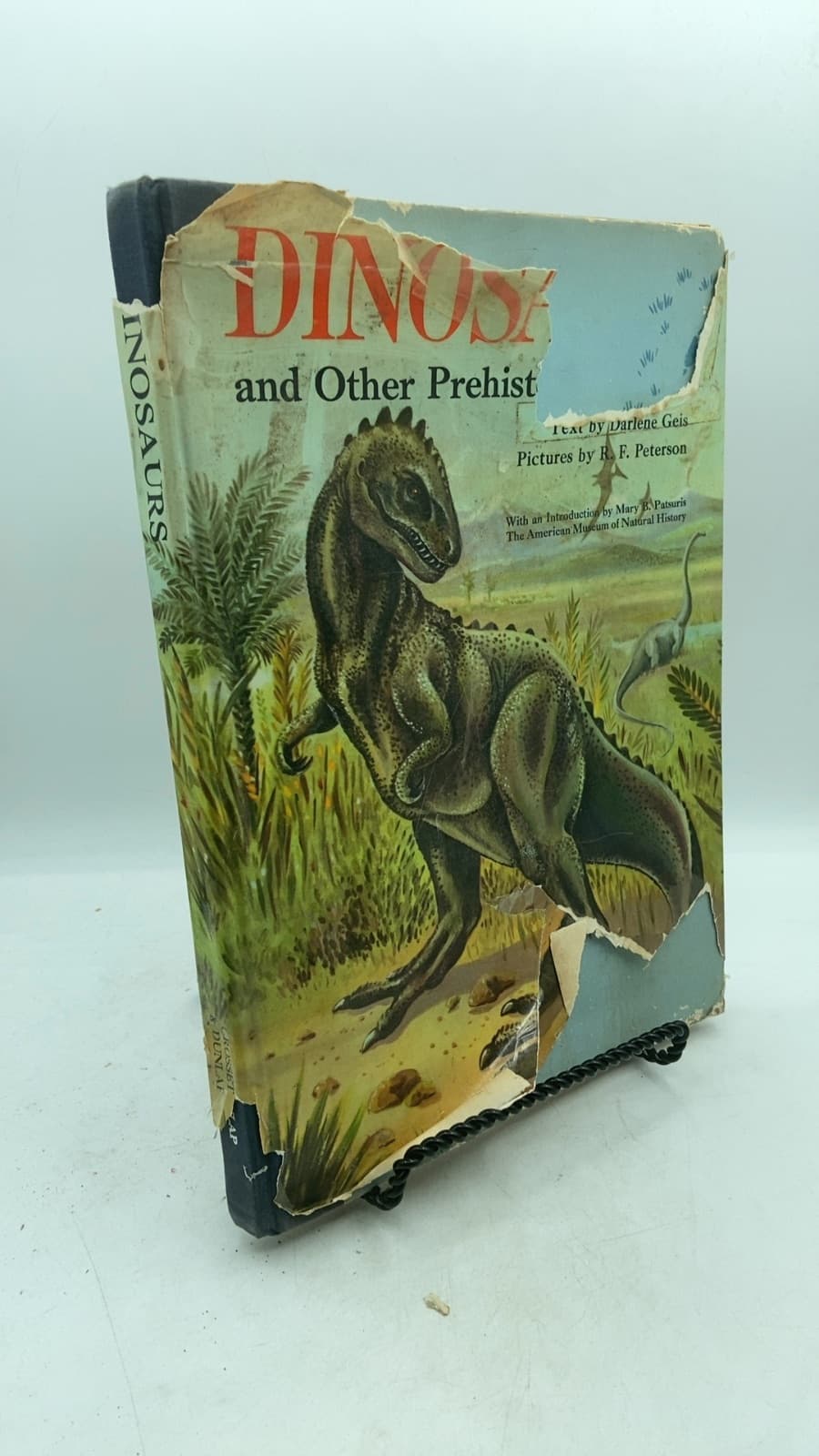 DINOSAURS And Other Prehistoric Animals by Darlene Geis - front cover