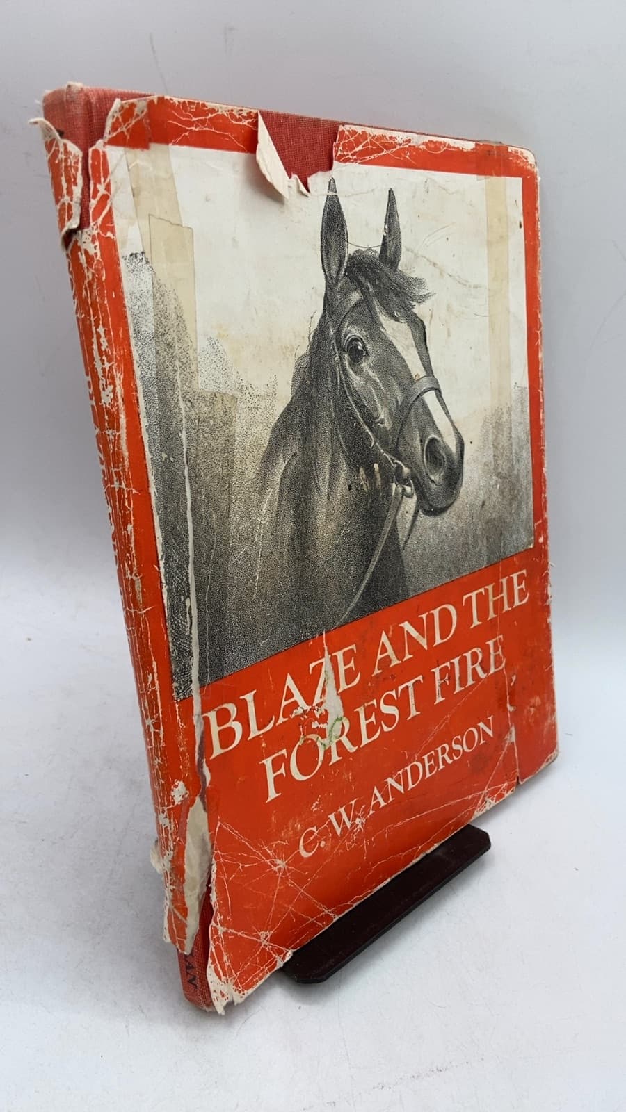 Blaze and the Forest Fire by C.W. Anderson - front cover