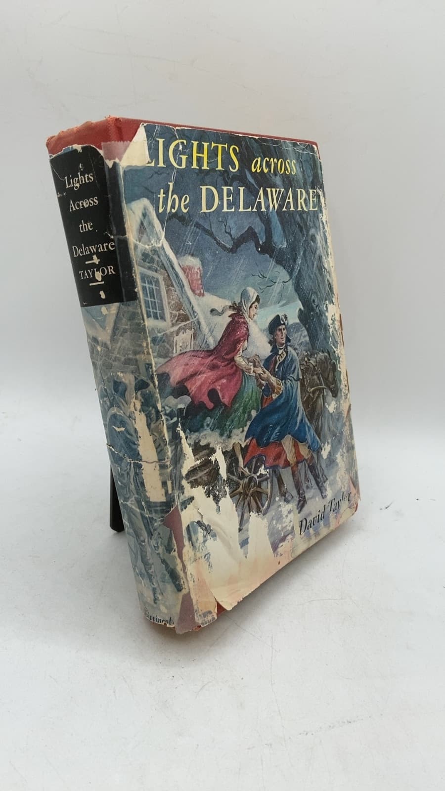 Lights Across THE Delaware by David Taylor - front cover