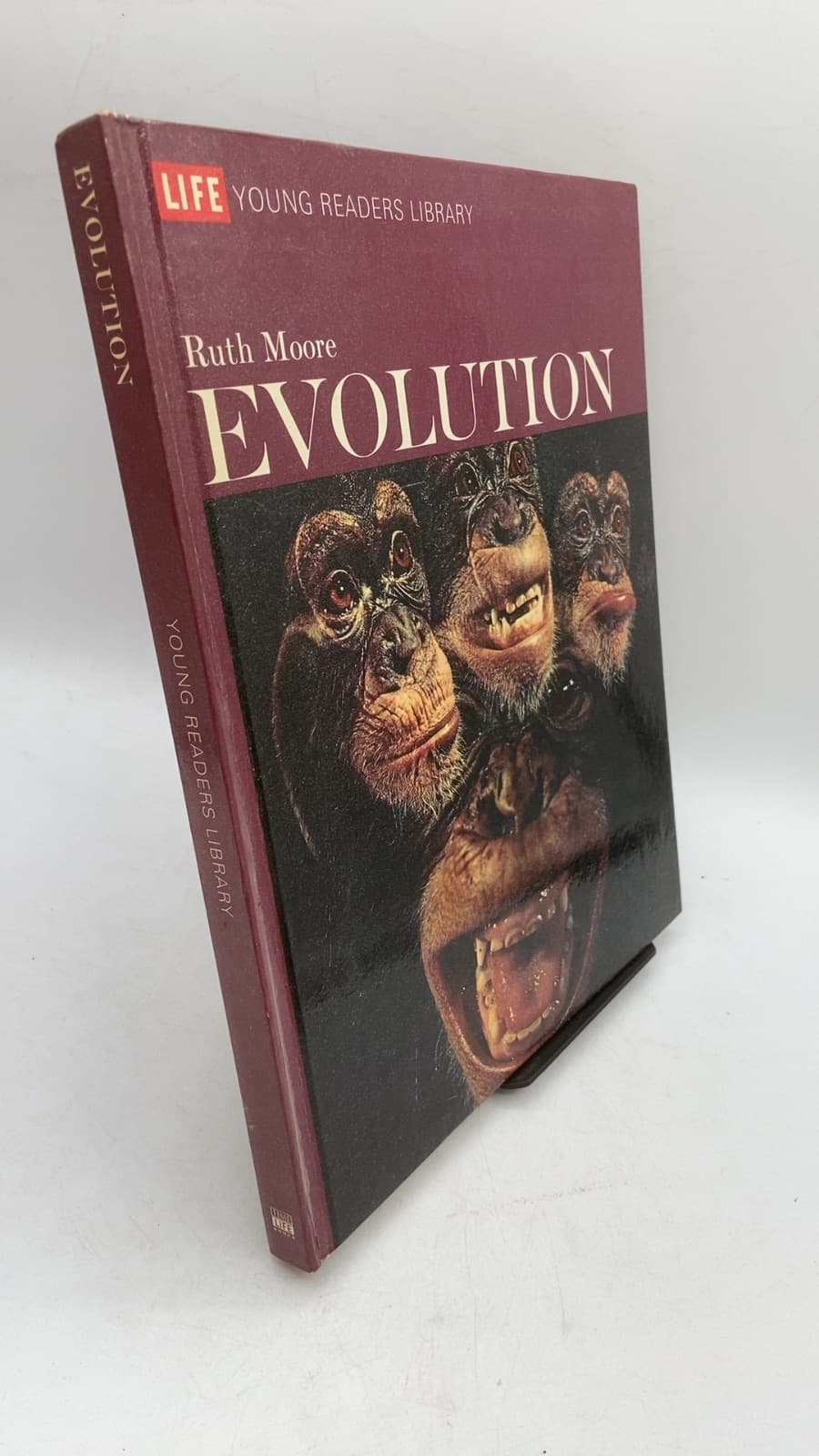 Evolution by Ruth Moore and the Editors of Time-Life Books - front cover