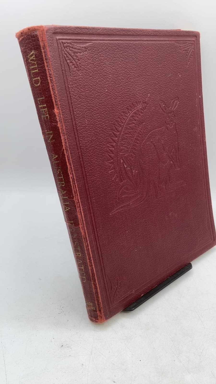 Wild Life in Australia Illustrated by Charles Barrett F.R.Z.S. - front cover