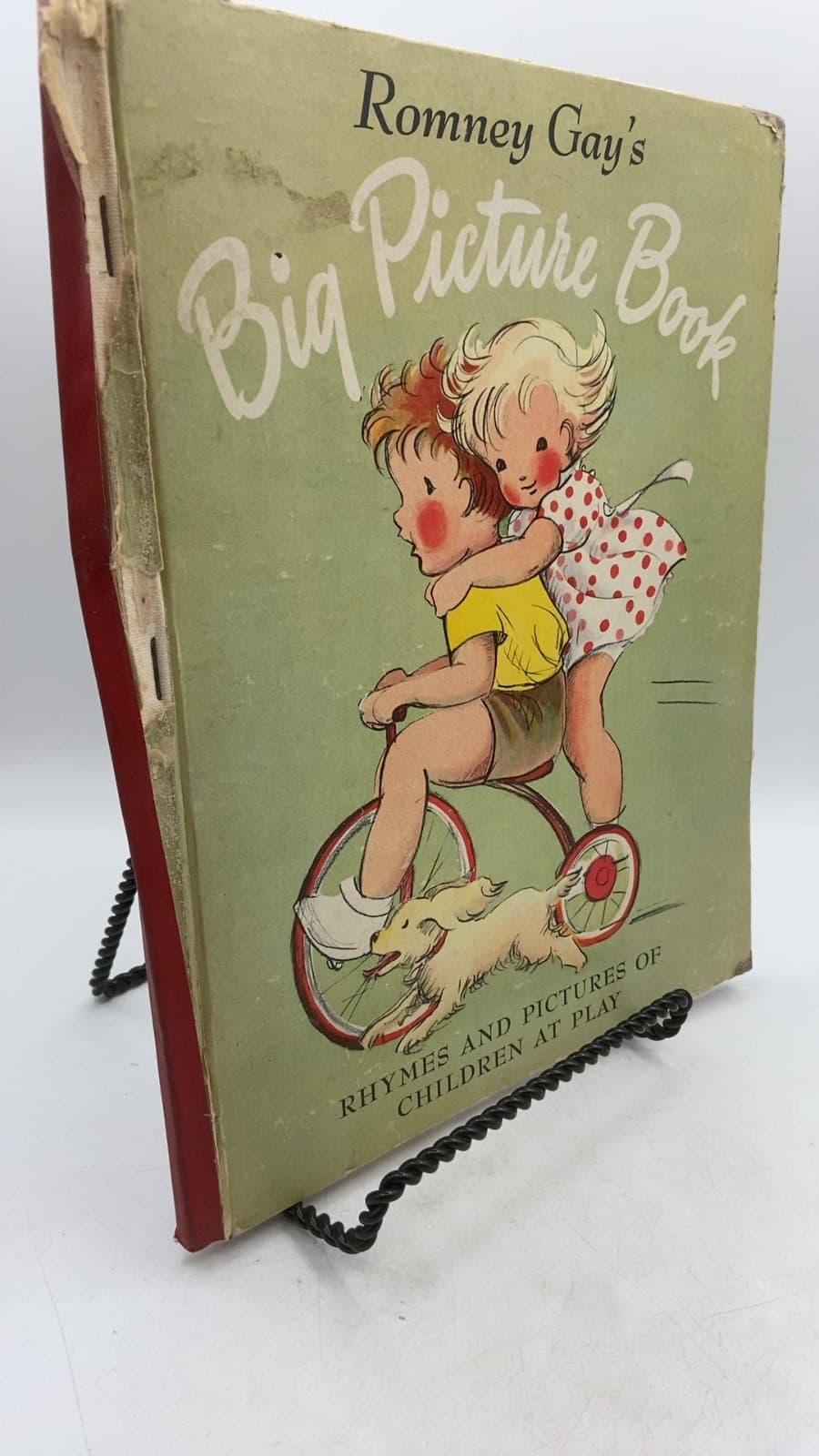 Big Picture Book by Romney Gay - front cover