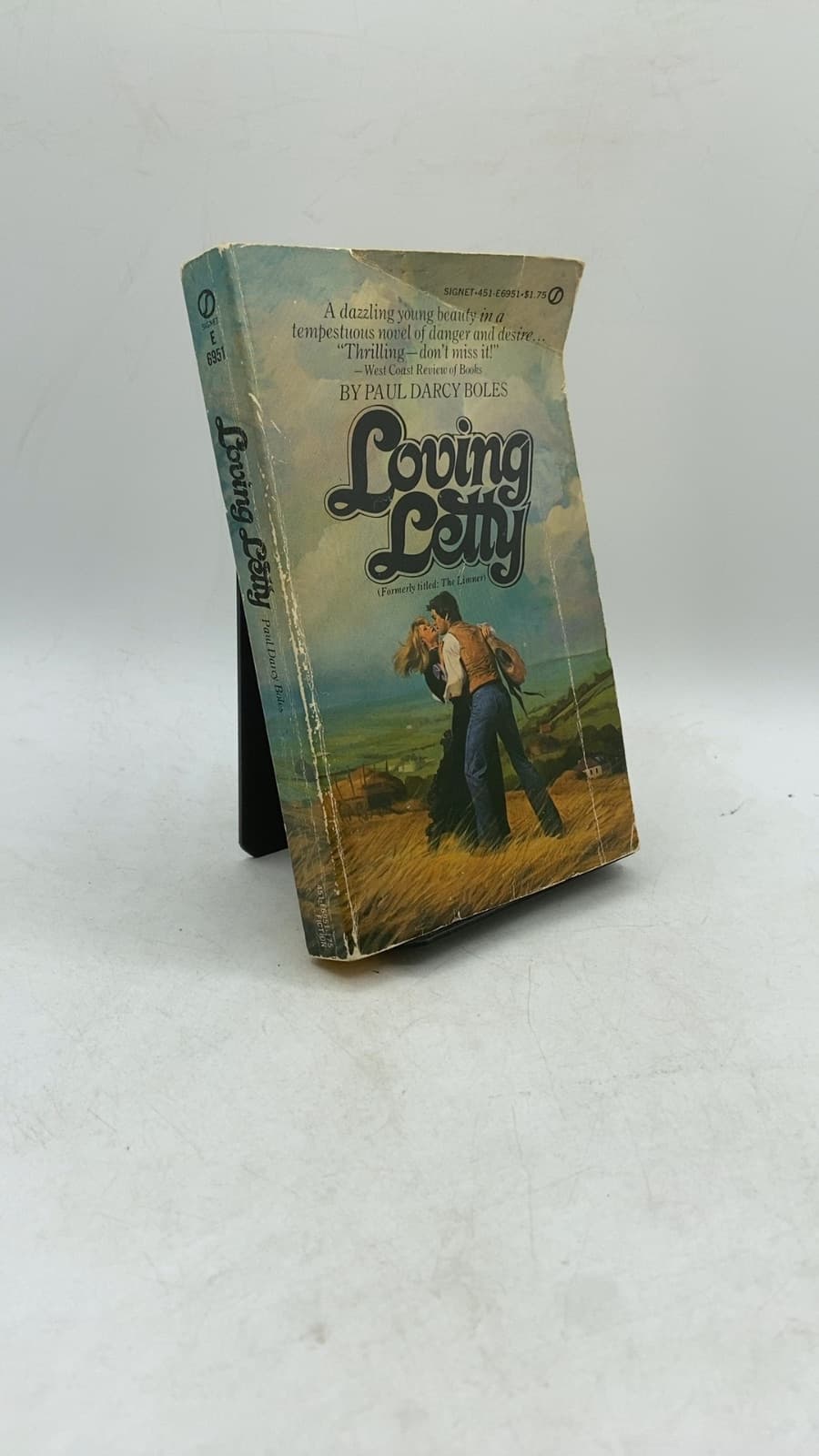 Loving Letty by Paul Darcy Boles - front cover