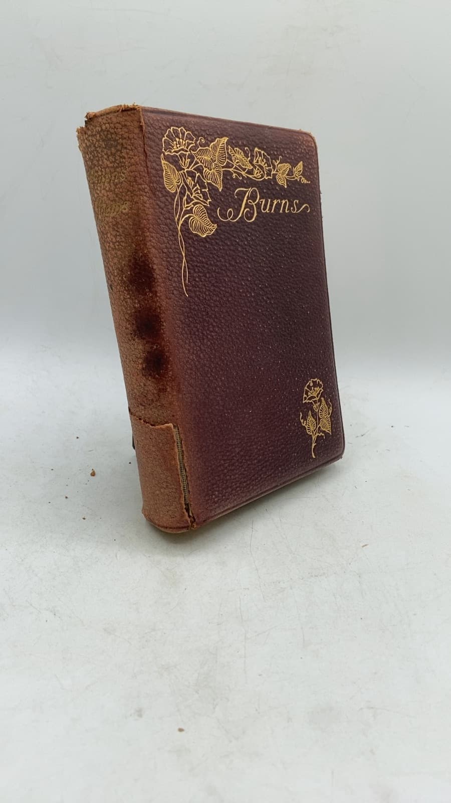 The Poetical Works of Robert Burns by Robert Burns - front cover
