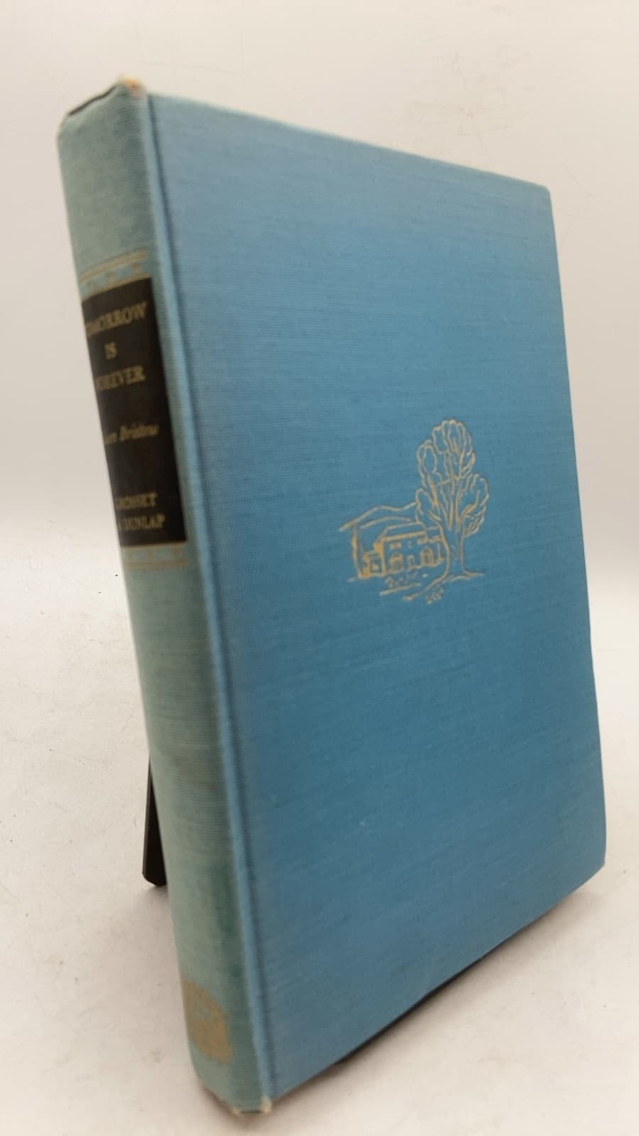 Tomorrow Is Forever by Gwen Bristow - front cover
