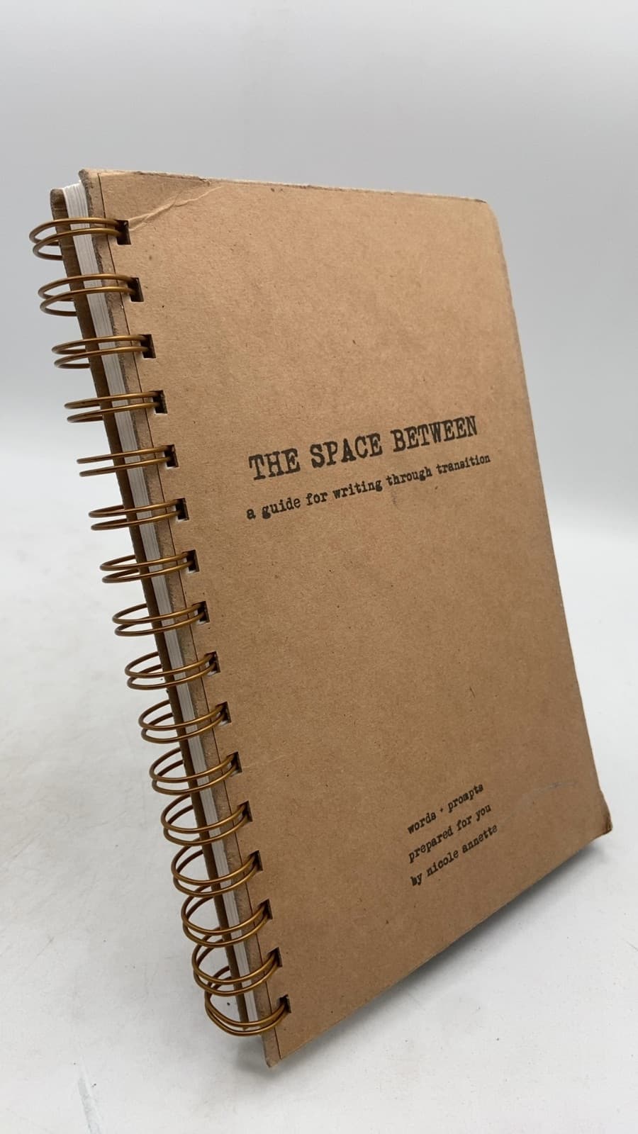 THE SPACE BETWEEN: a guide for writing through transition by nicole Annette - front cover