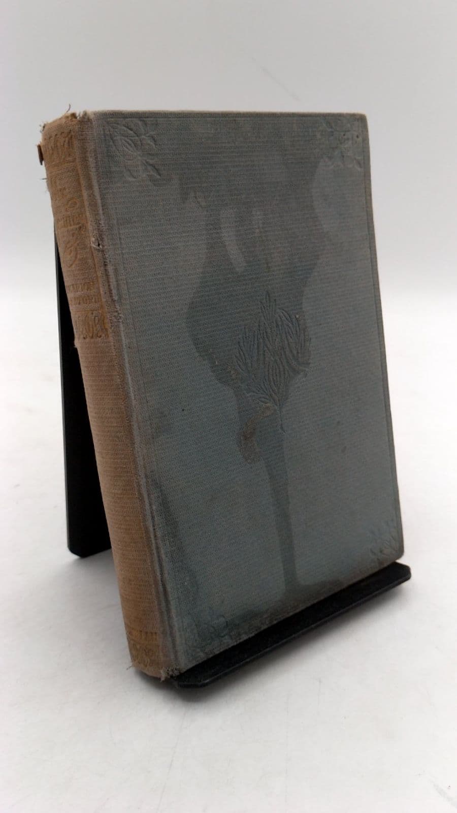 Mr. Isaacs: A Tale of Modern India by F. Marion Crawford - front cover