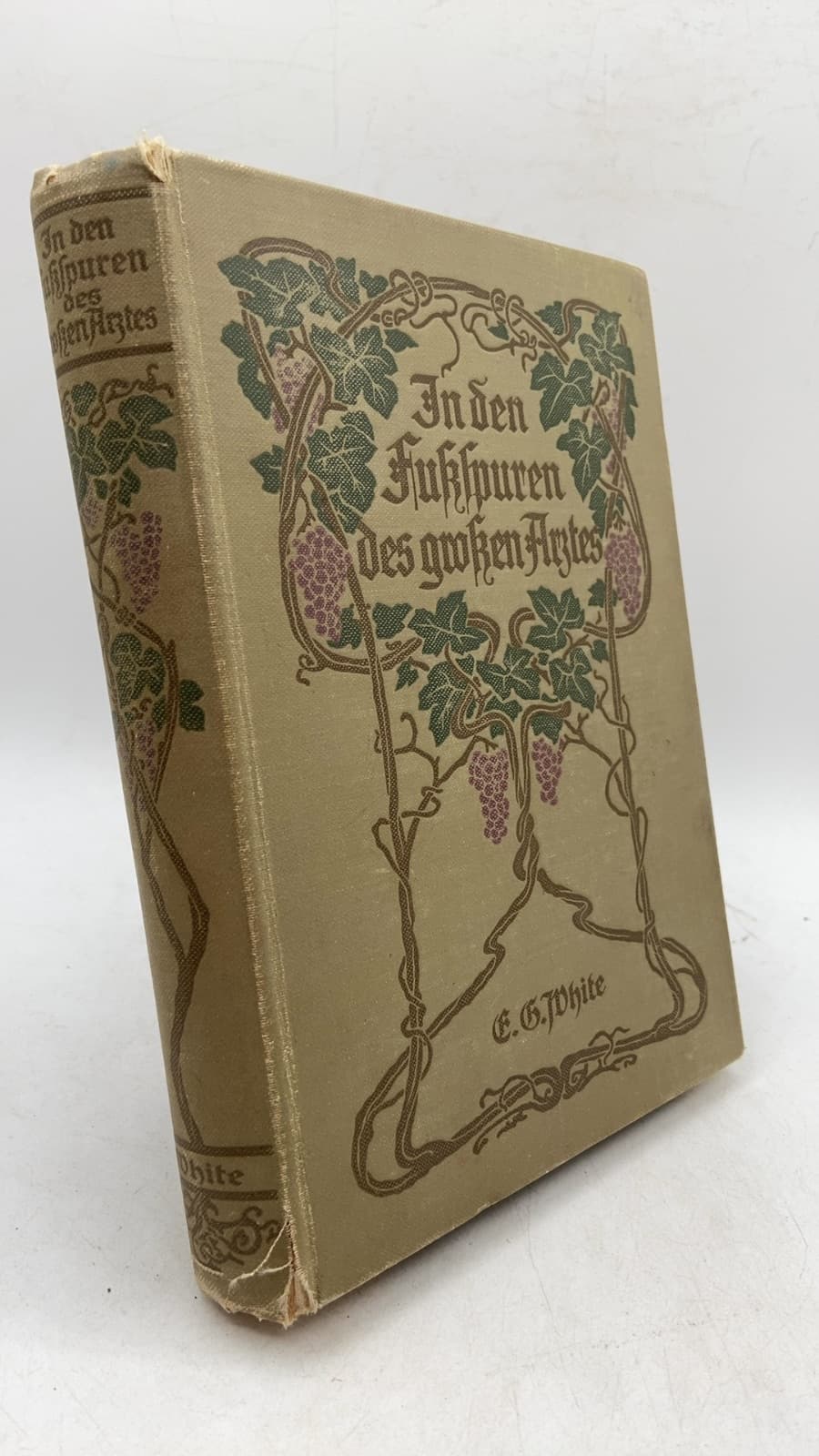 In den Fußspuren des großen Arztes by E. G. White - front cover