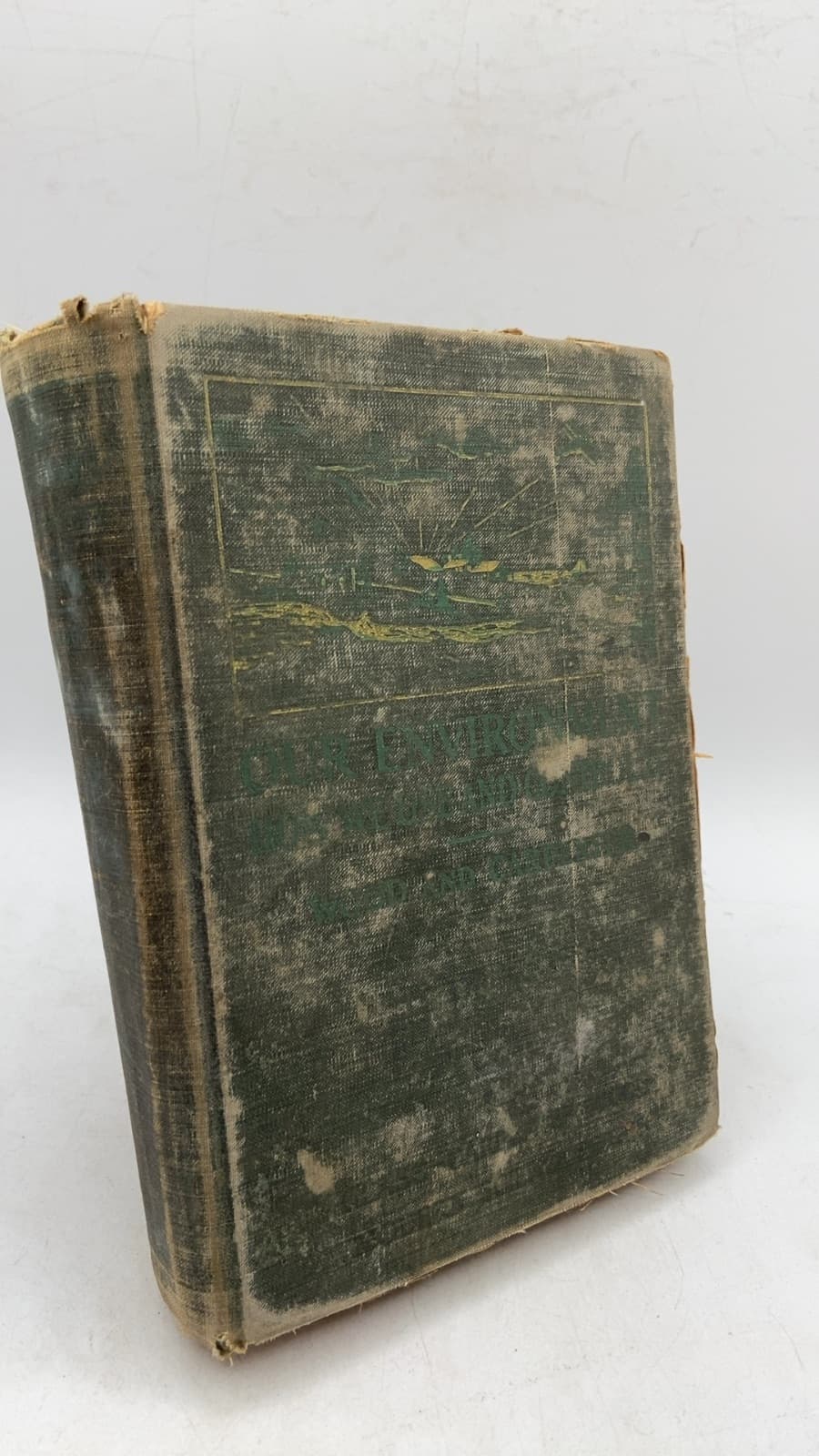 Our Environment: How We Use and Control It (Modern Science Series, Book III) by Wood and Carpenter - front cover