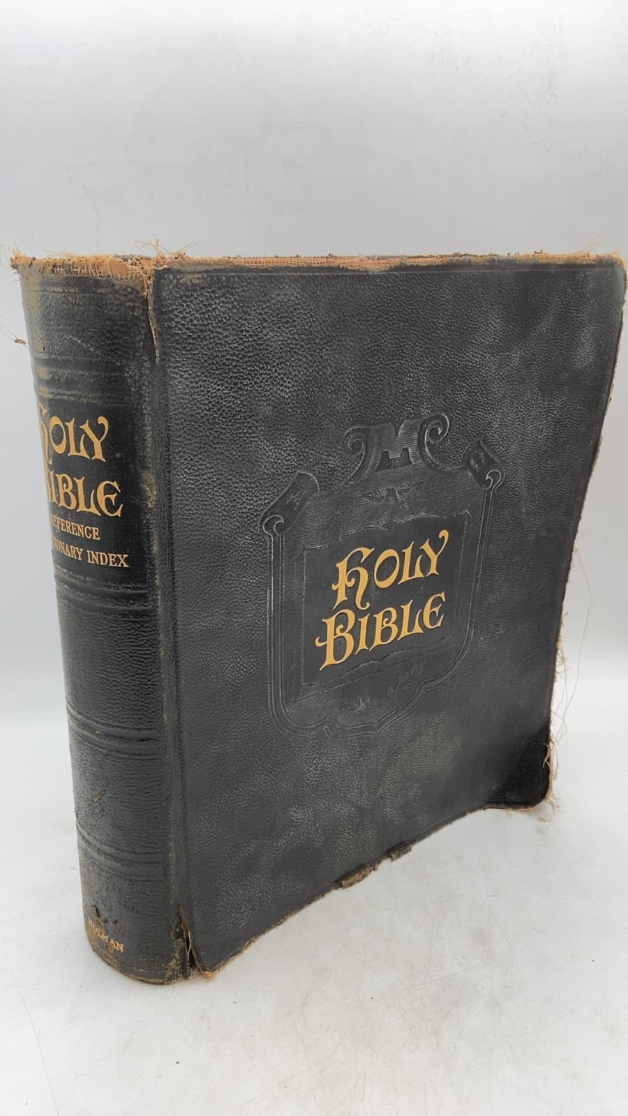 Self Pronouncing King James Authorized Version of the Holy Bible - front cover