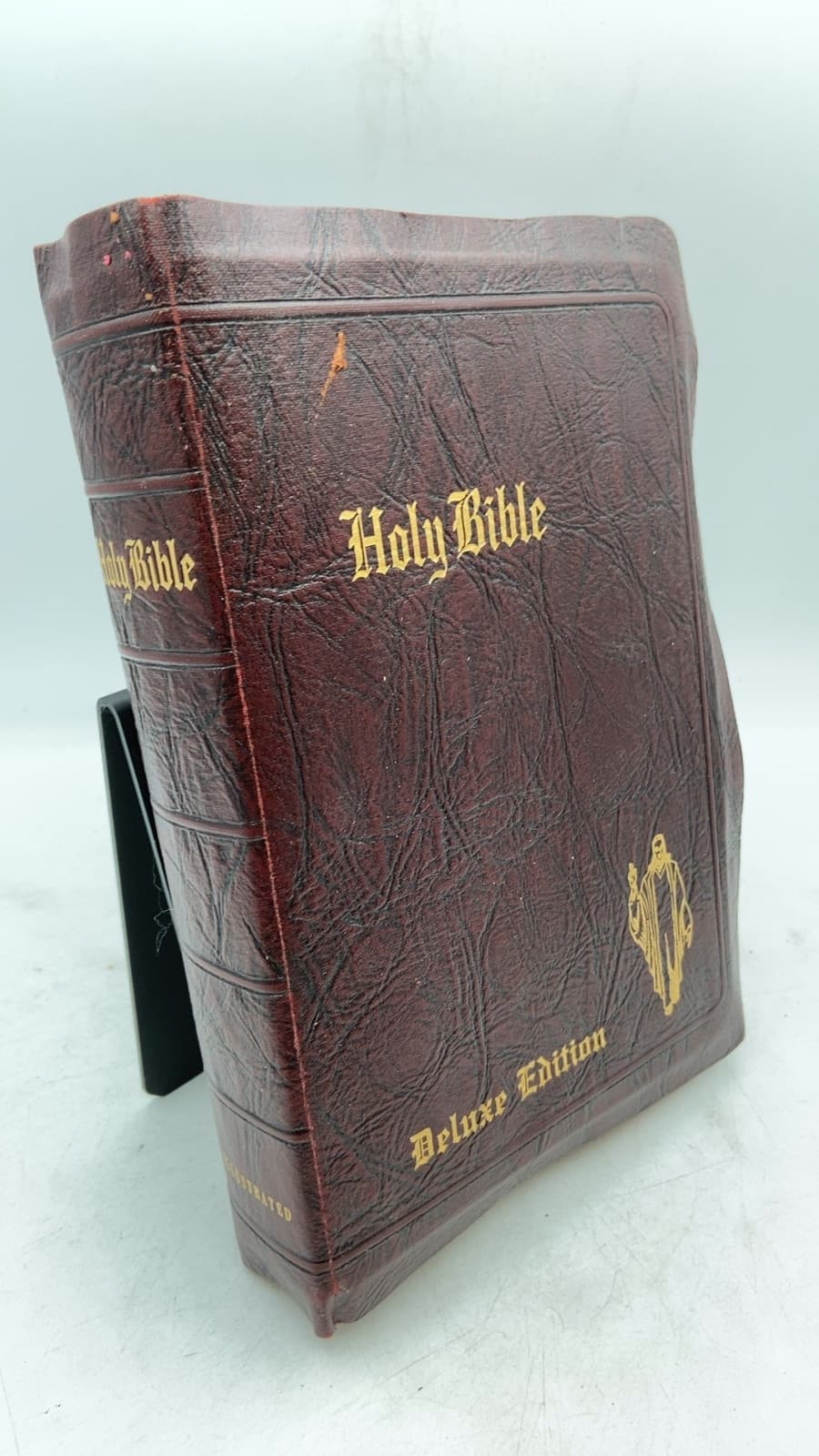 Holy Bible: Light of the World Bible Deluxe Edition - front cover