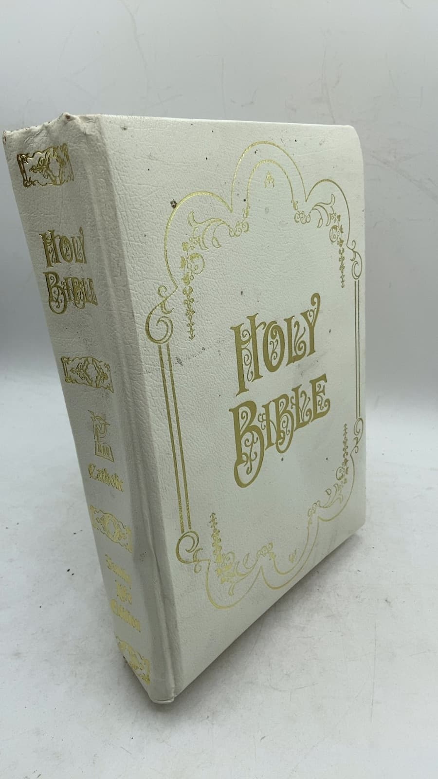 The New American Bible - front cover