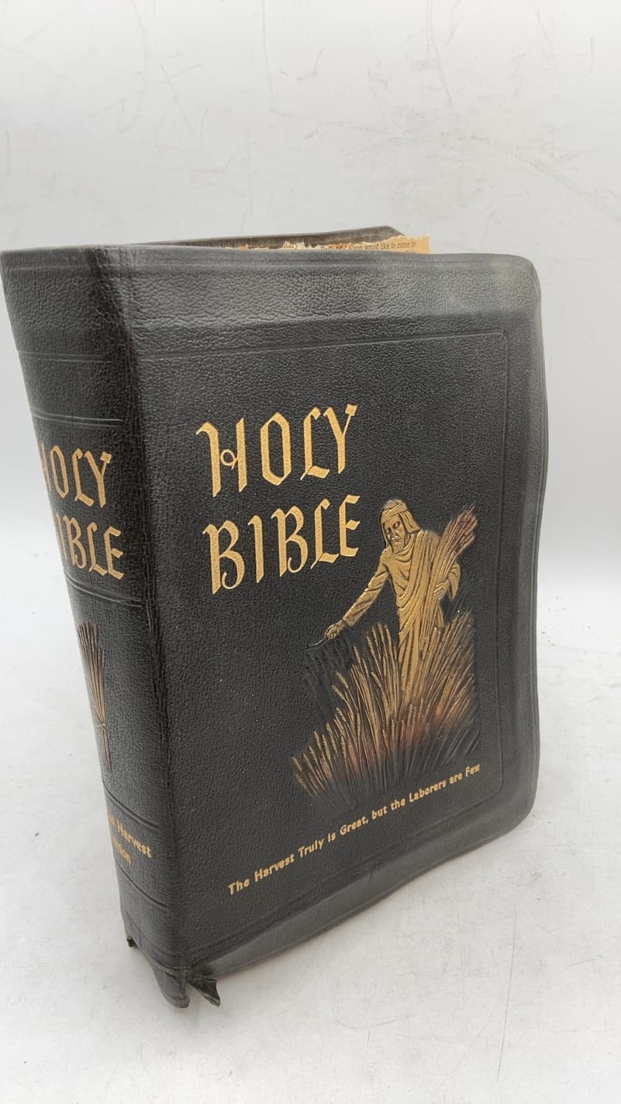 The Holy Bible: Spiritual Harvest Edition - front cover