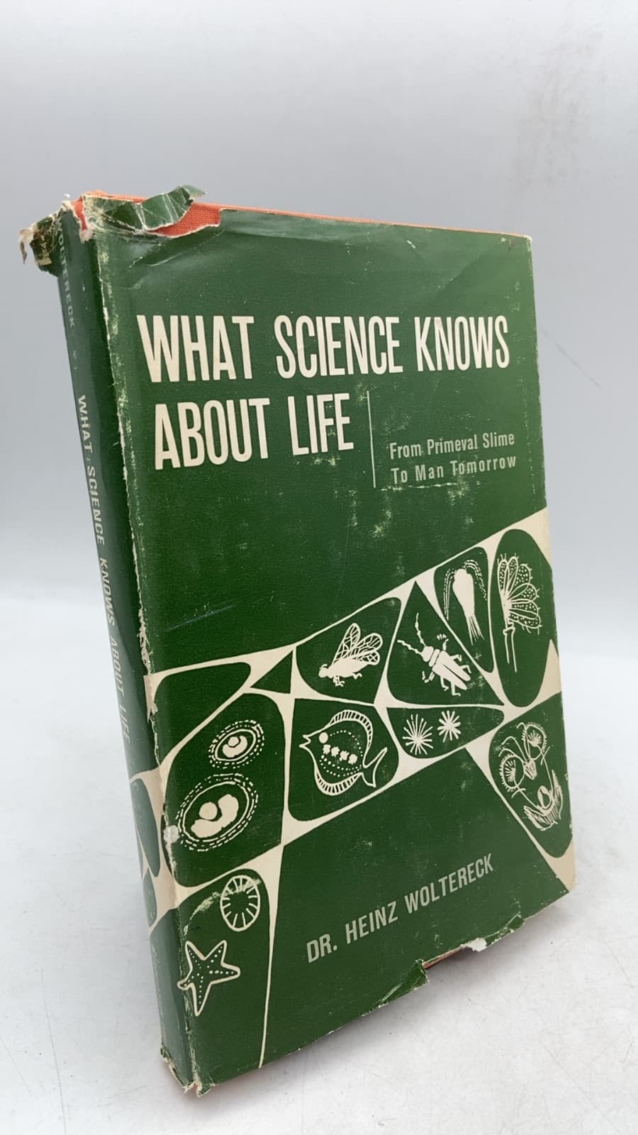 What Science Knows About Life by Dr. Heinz Woltereck - front cover
