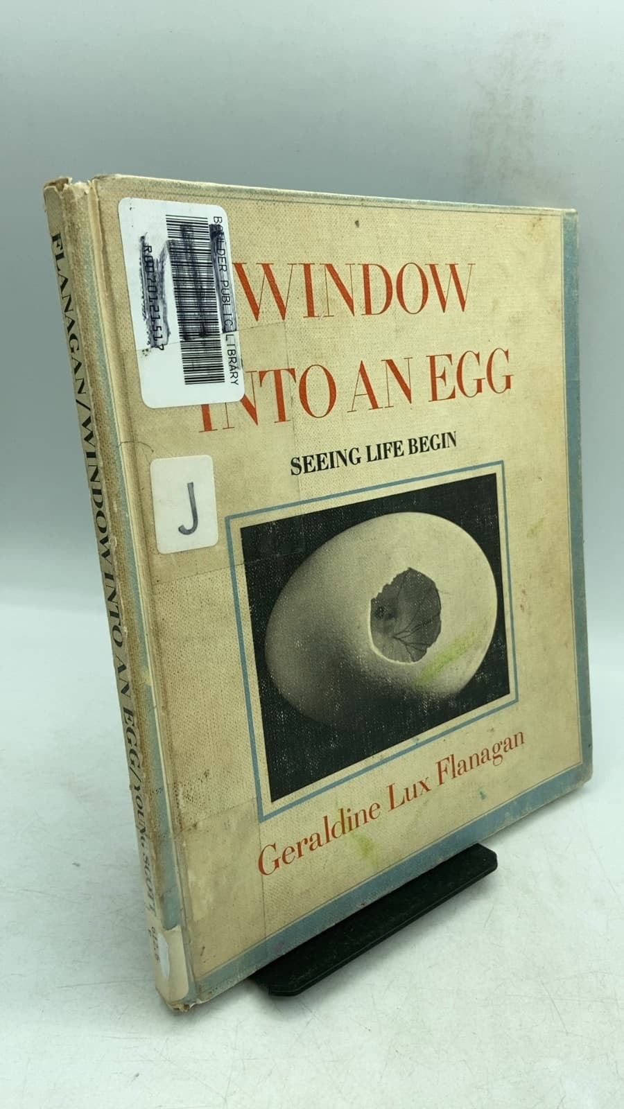 Window Into an Egg: Seeing Life Begin by Geraldine Lux Flanagan - front cover