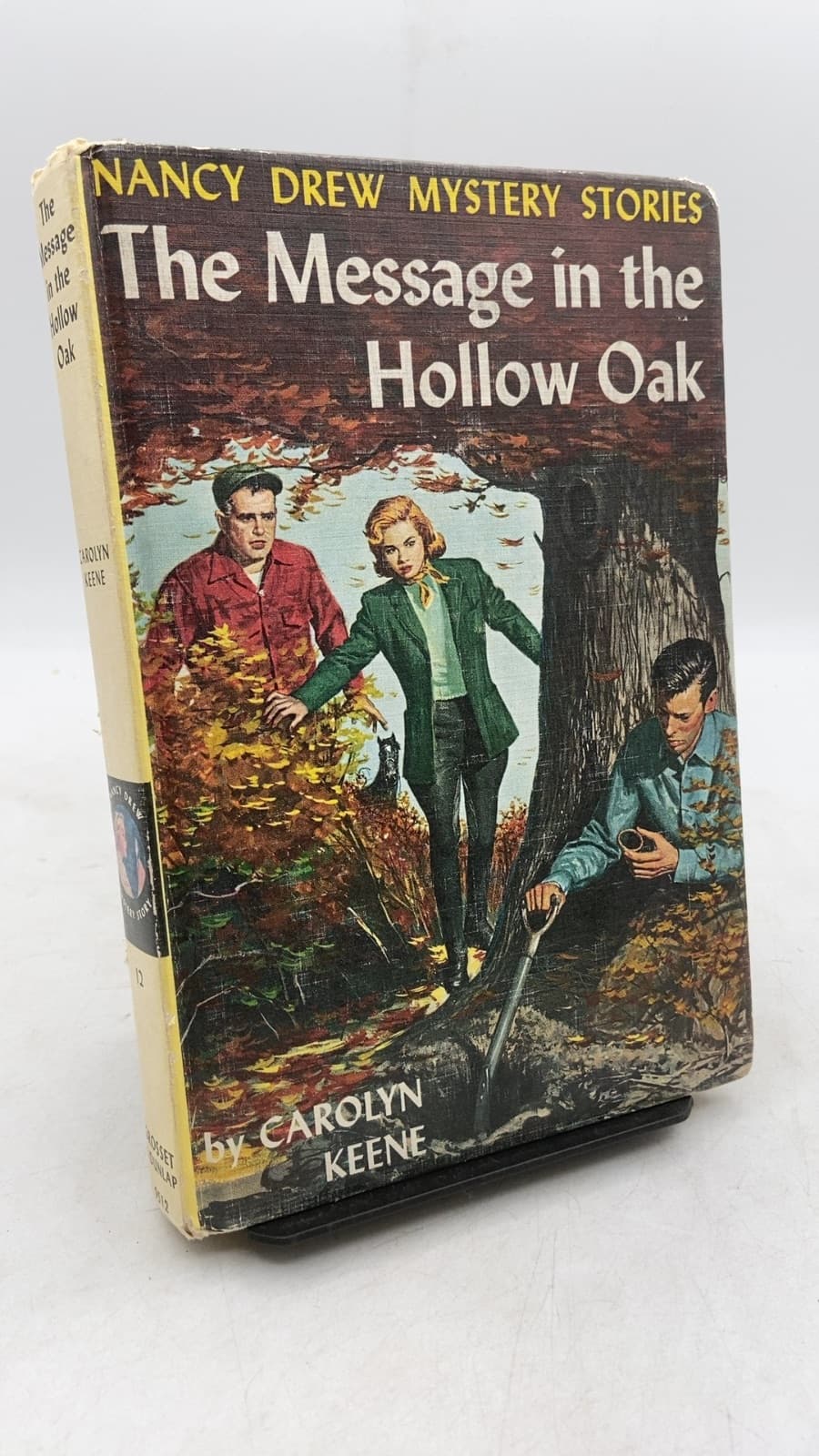 The Message in the Hollow Oak by Carolyn Keene - front cover