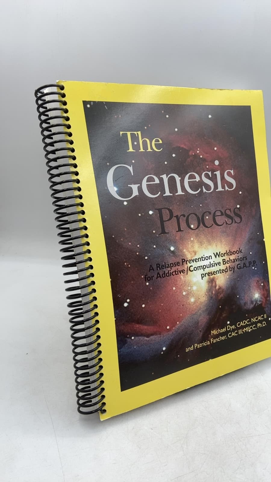 The Genesis Process: A Relapse Prevention Workbook for Addictive/Compulsive Behaviors by Michael Dye, CADC, NCAC II and Patricia Fancher, CAC III, MFCC, Ph.D. - front cover