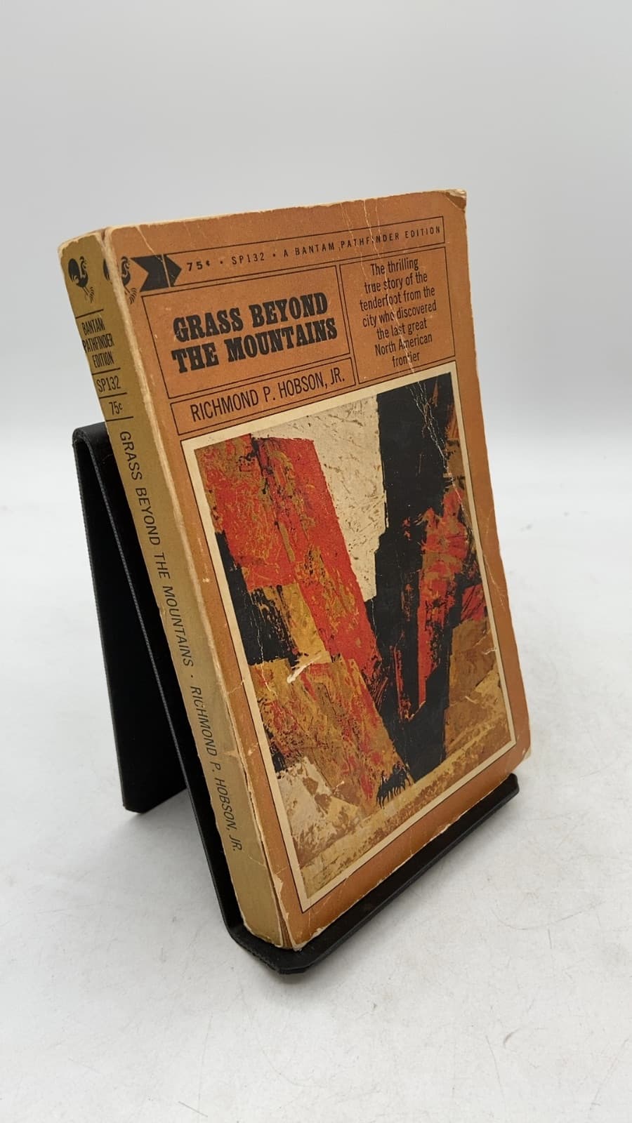 Grass Beyond the Mountains by Richmond P. Hobson, Jr. - front cover