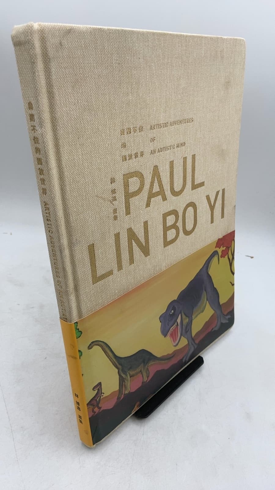 Artistic Adventures of an Autistic Mind: Paul Lin Bo Yi by Paul Bo Yi Lin (林博逸) - front cover