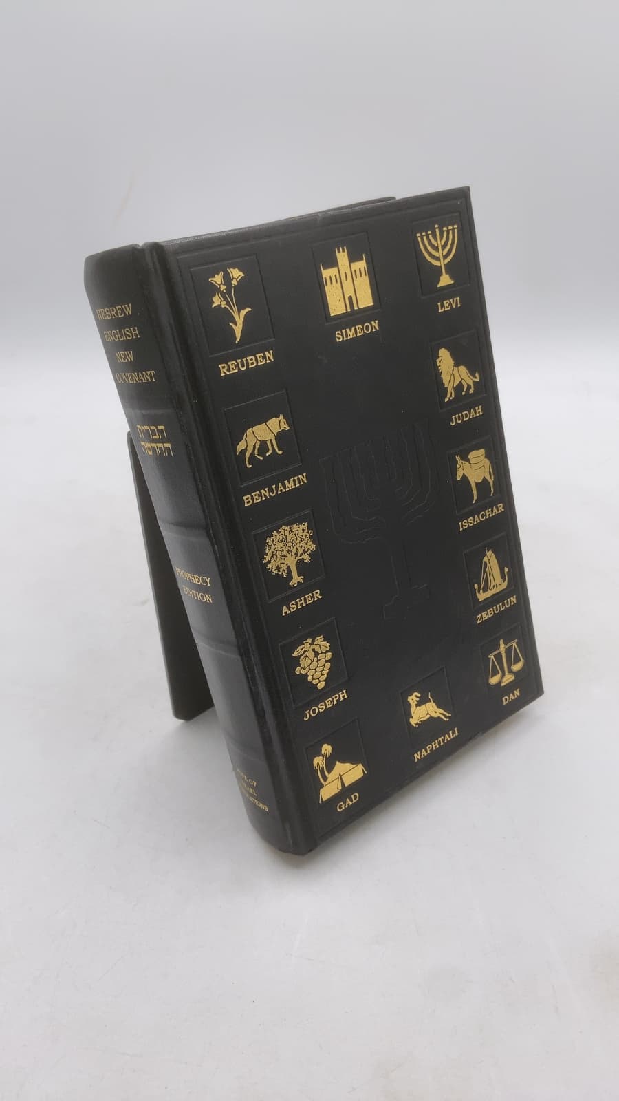 Hebrew English New Covenant: Prophecy Edition - front cover