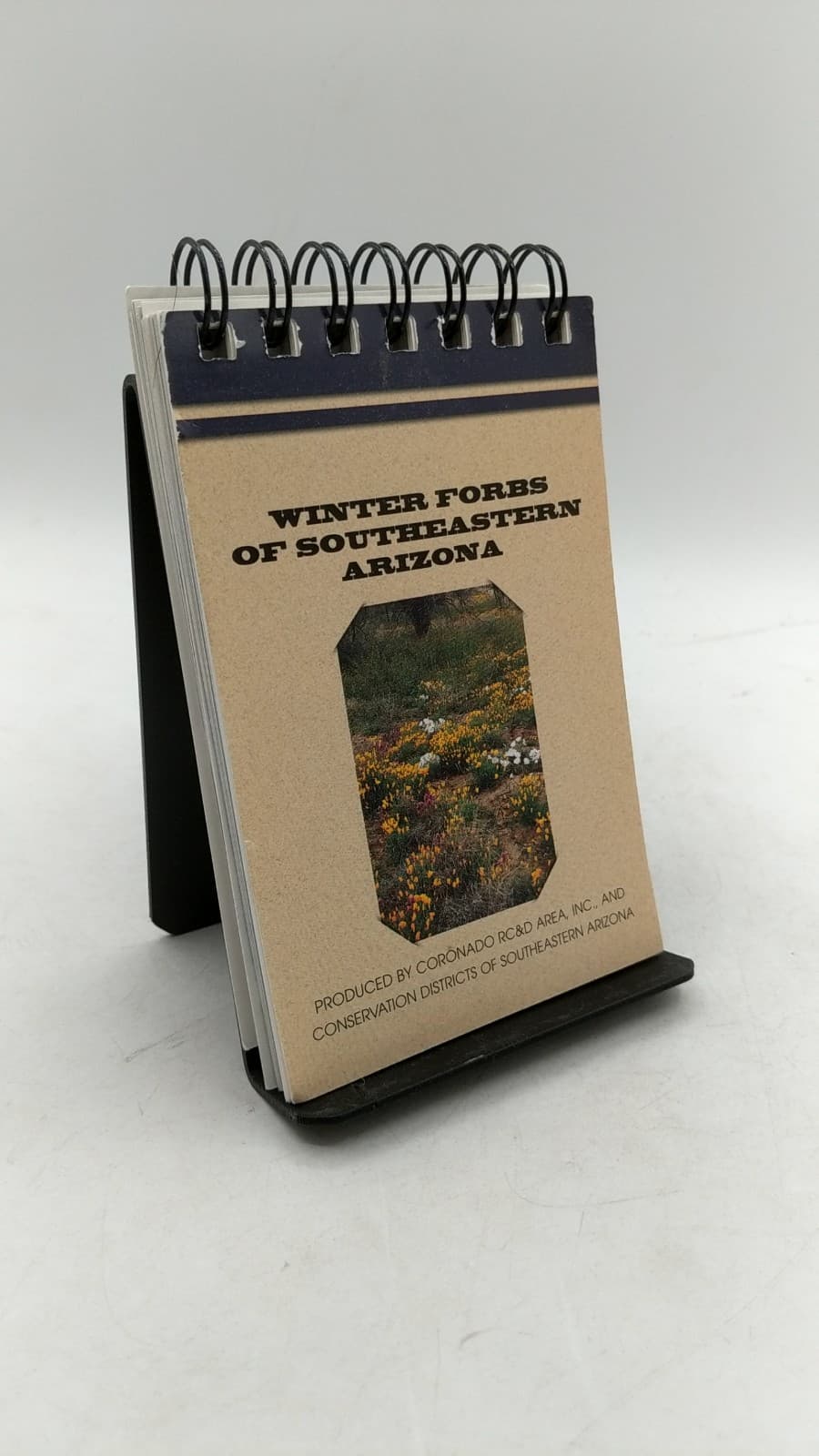 Winter Forbs of Southeastern Arizona - front cover