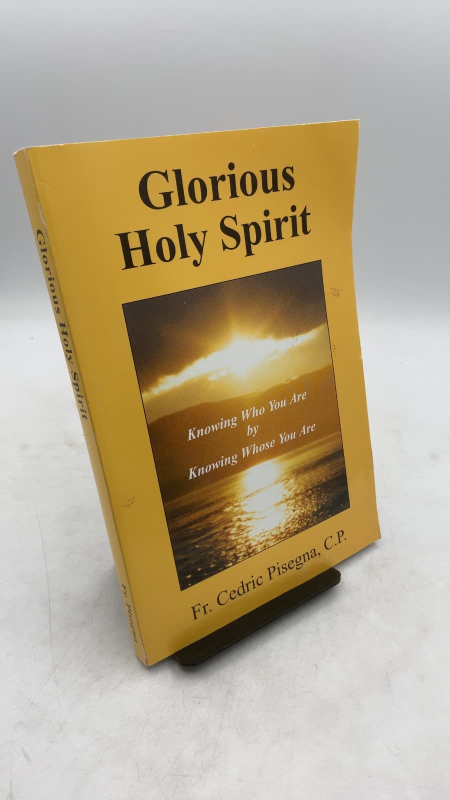 Glorious Holy Spirit: Knowing Who You Are by Knowing Whose You Are by Fr. Cedric Pisegna, C.P. - front cover