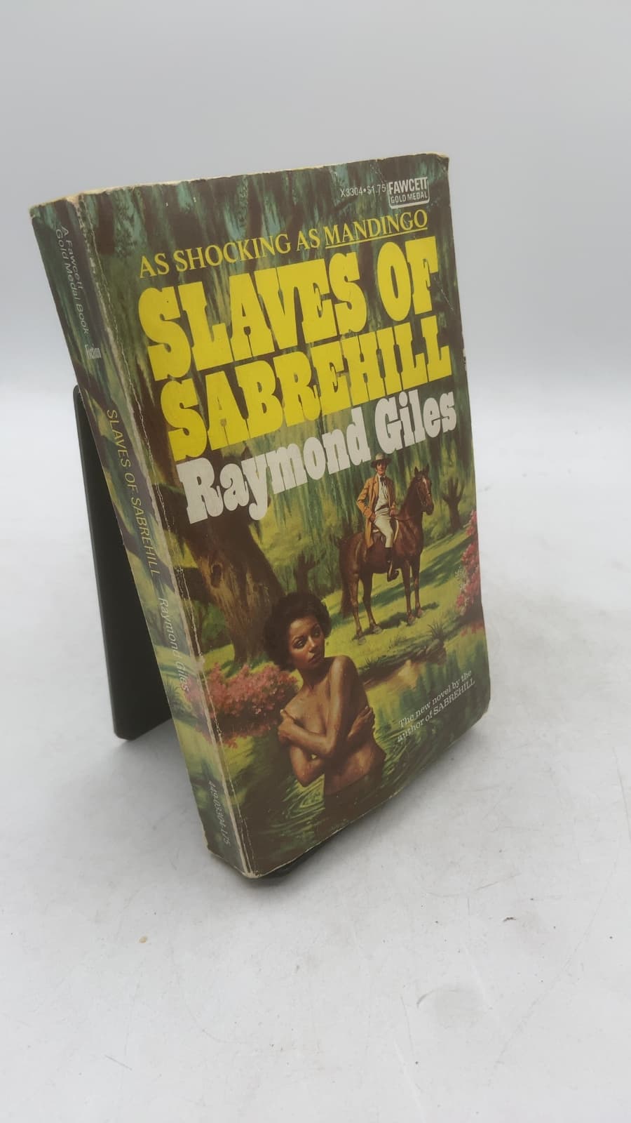 Slaves of Sabrehill by Raymond Giles - front cover