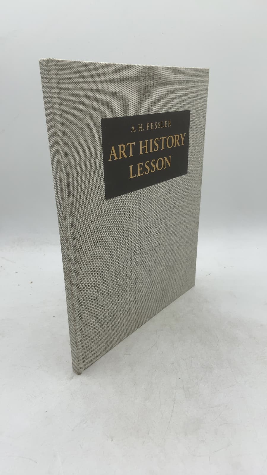 ART History Lesson by Ann Fessler - front cover