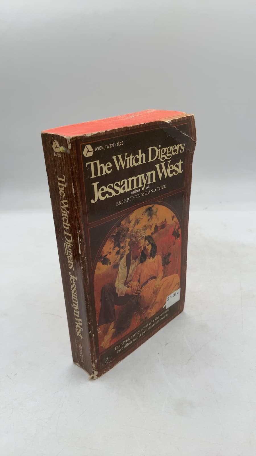 The Witch Diggers by Jessamyn West - front cover