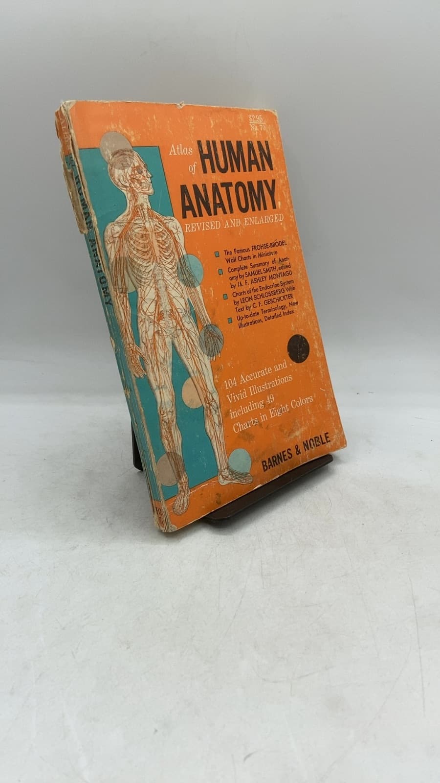 Atlas of Human Anatomy by Franz Froshe, Max Brödel, Leon Schlossberg - front cover