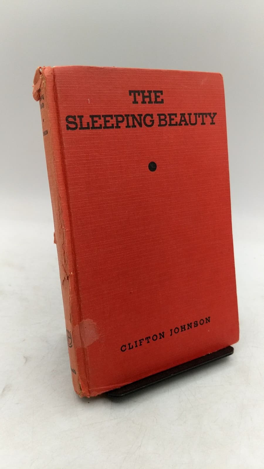 THE Sleeping Beauty by Clifton Johnson - front cover