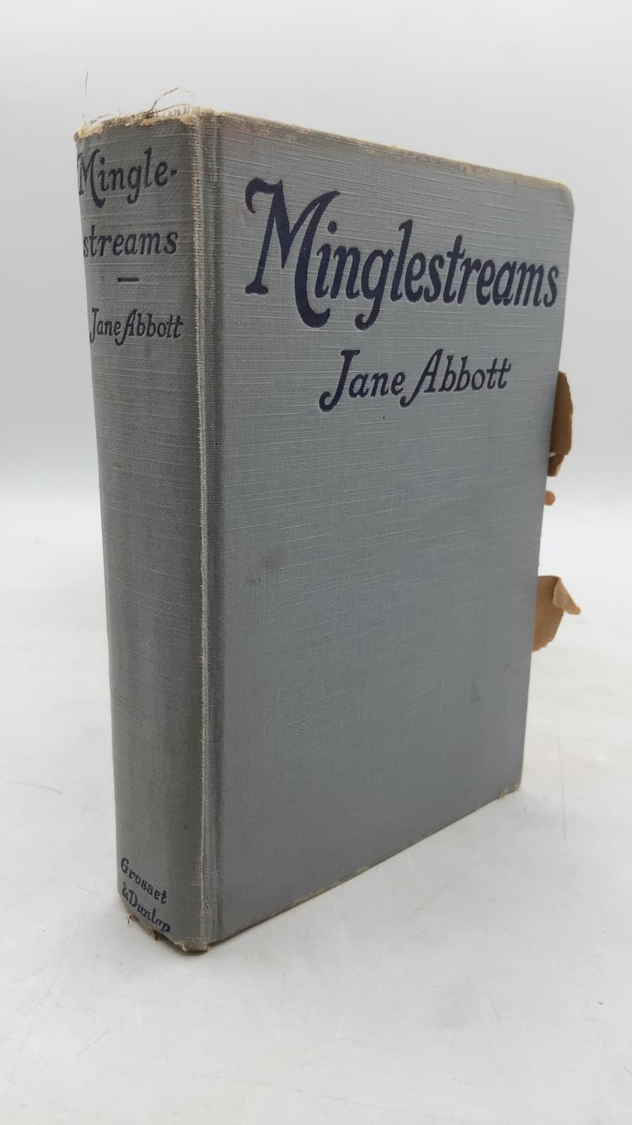 Minglestreams by Jane Abbott - front cover