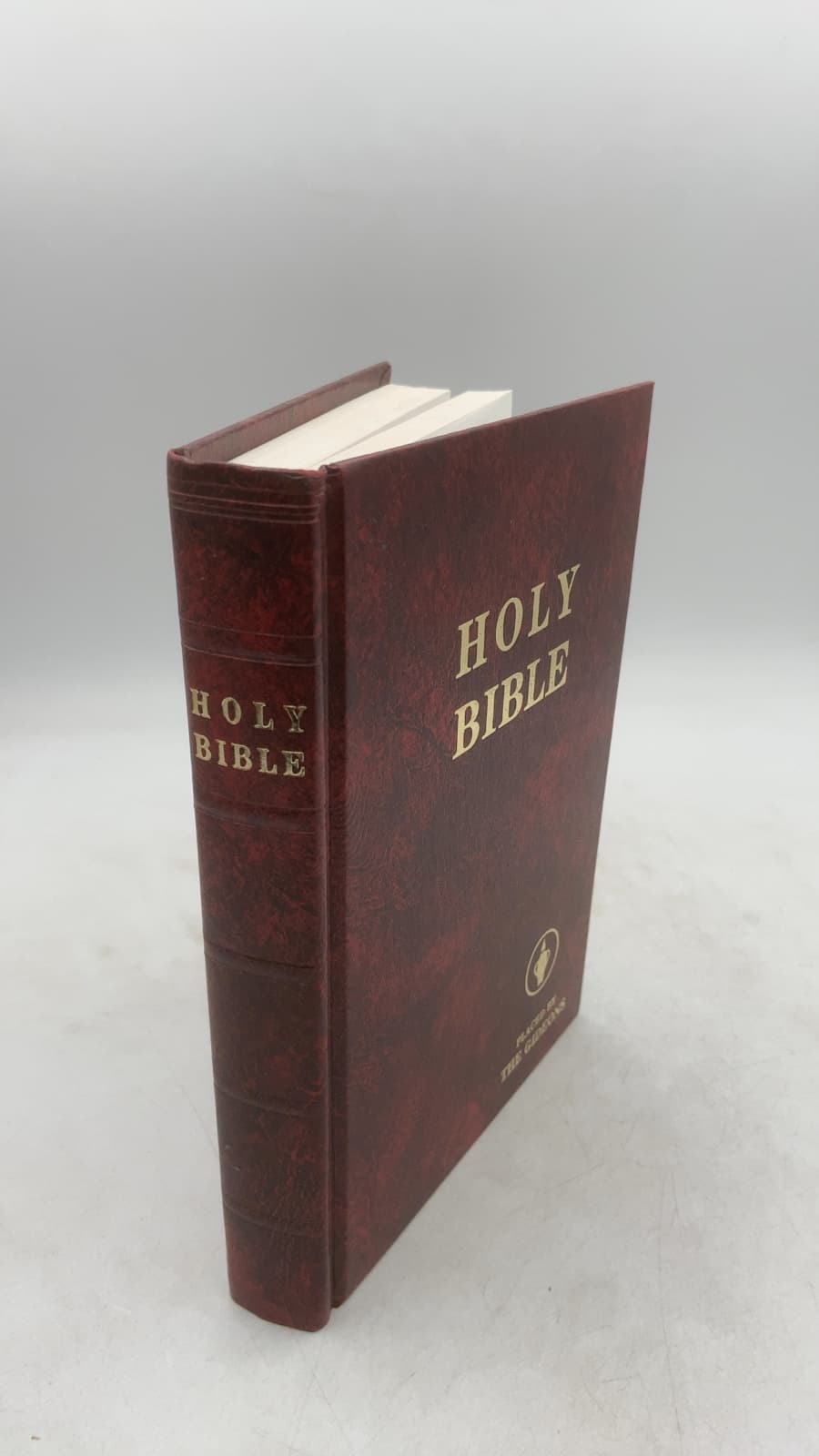 Holy Bible by Check for any author information. - front cover