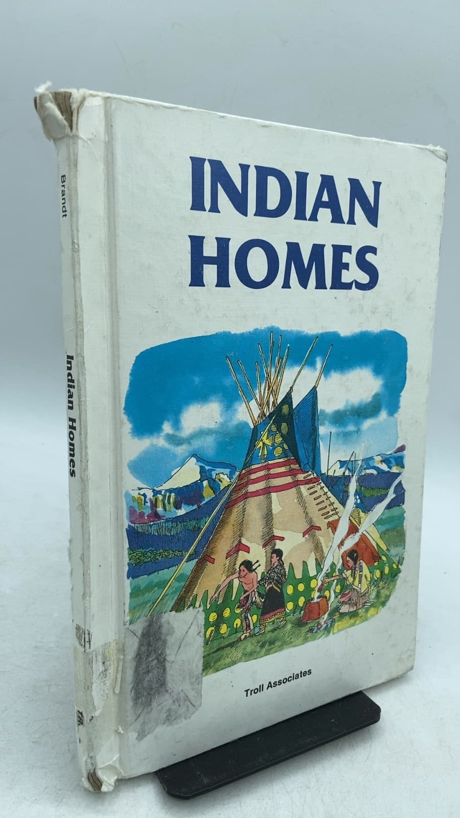 Indian Homes by Keith Brandt - front cover