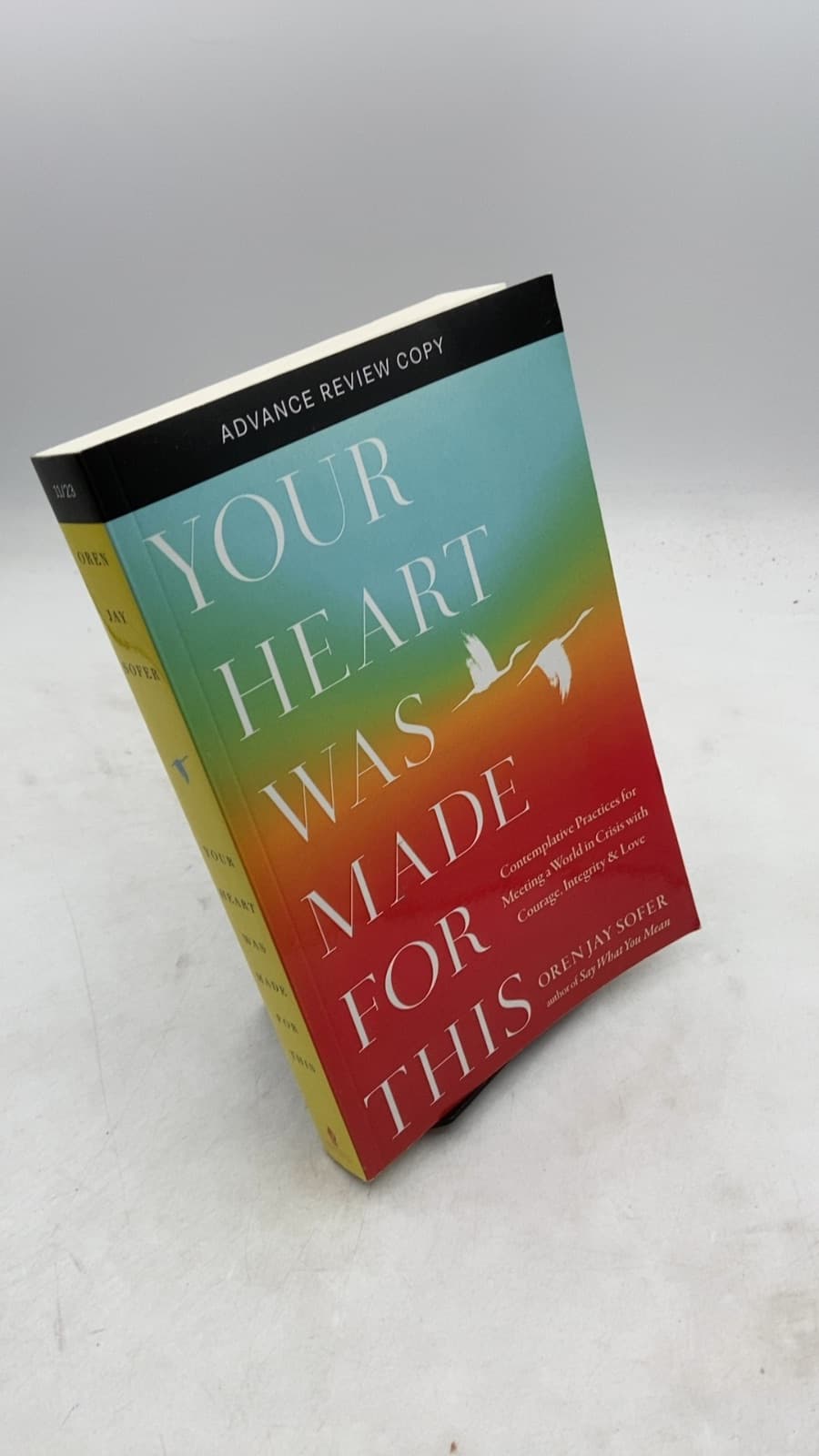 Your Heart Was Made for This: Contemplative Practices for Meeting a World in Crisis with Courage, Integrity, and Love by Oren JAY Sofer - front cover