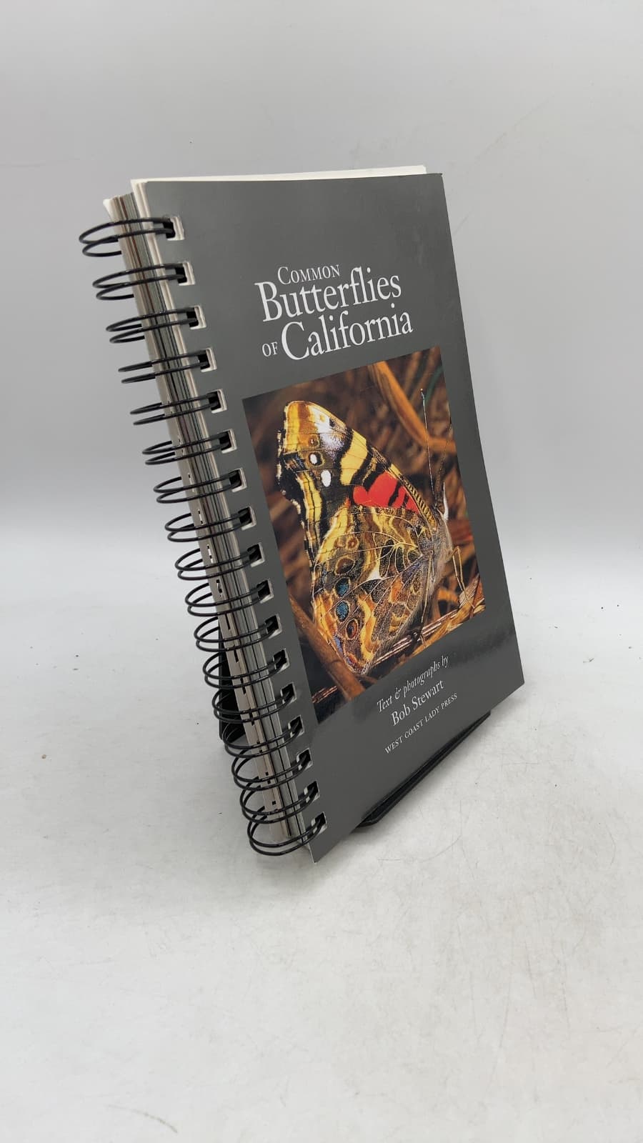Common Butterflies of California