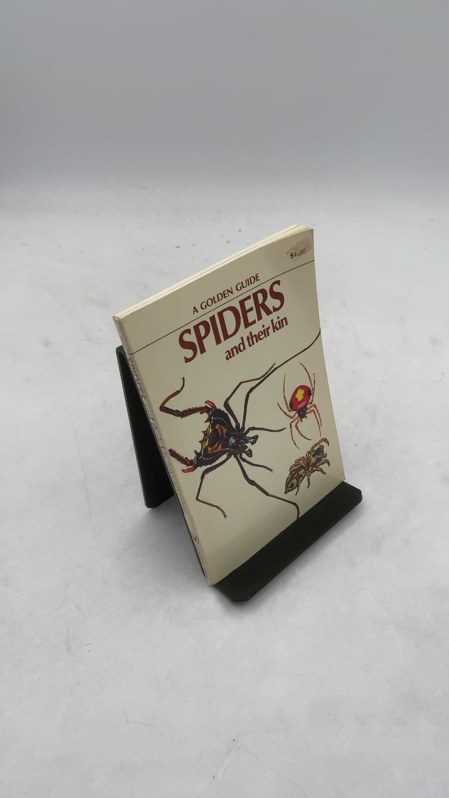 Spiders and Their Kin