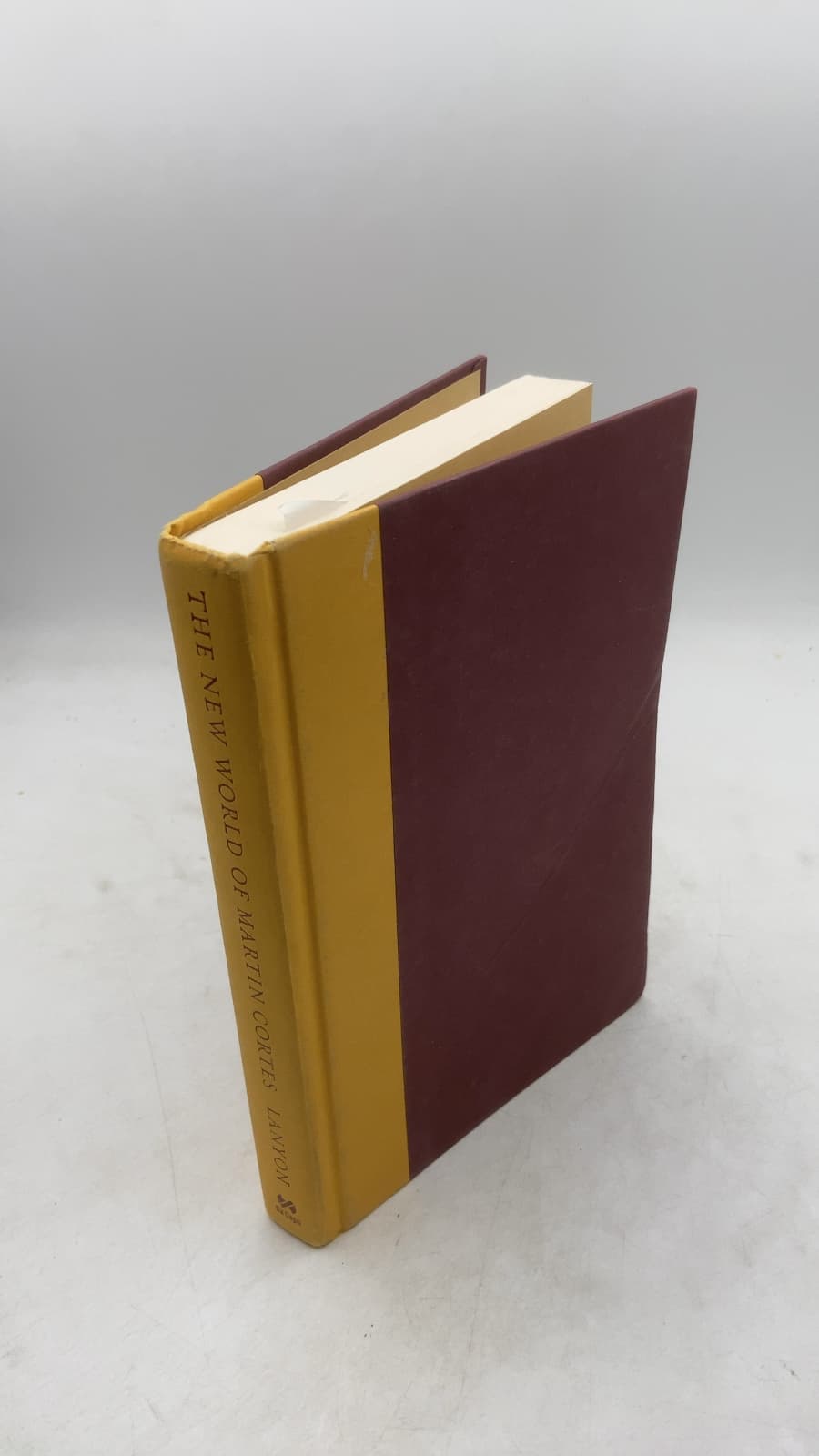 The New World of Martin Cortes by Anna Lanyon - front cover