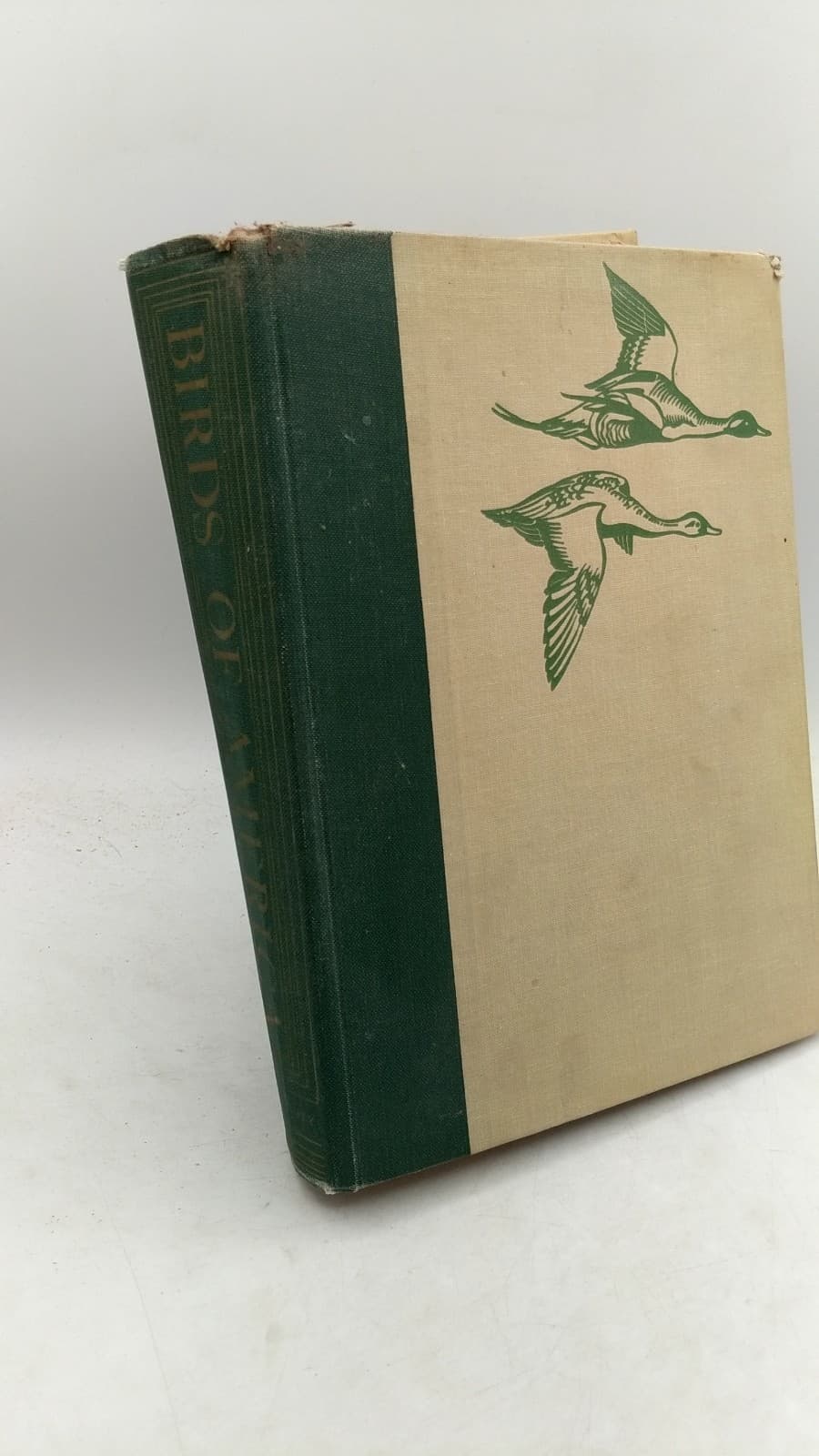 Birds of America