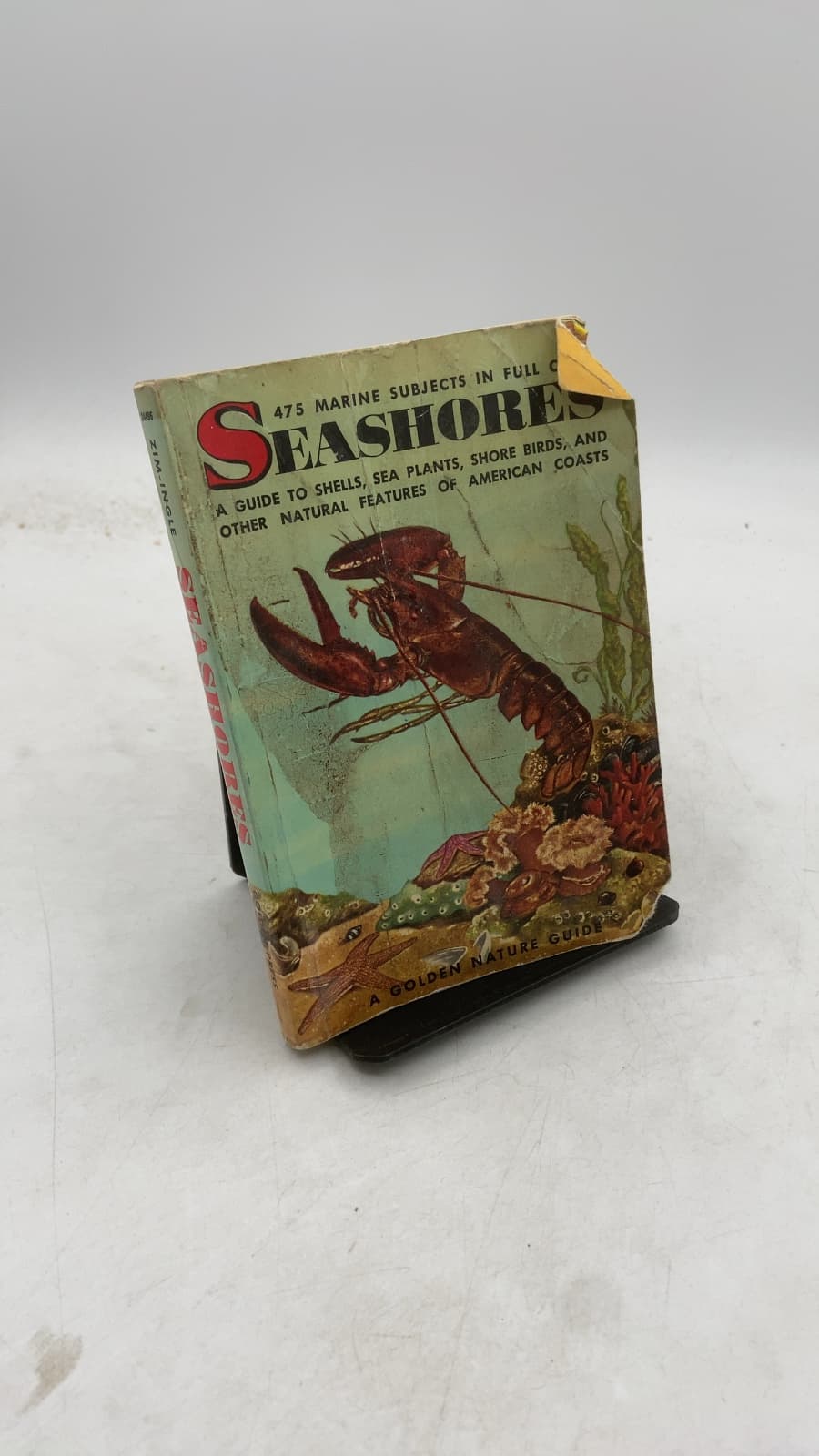 Seashores: A Guide to Animals and Plants Along the Beaches