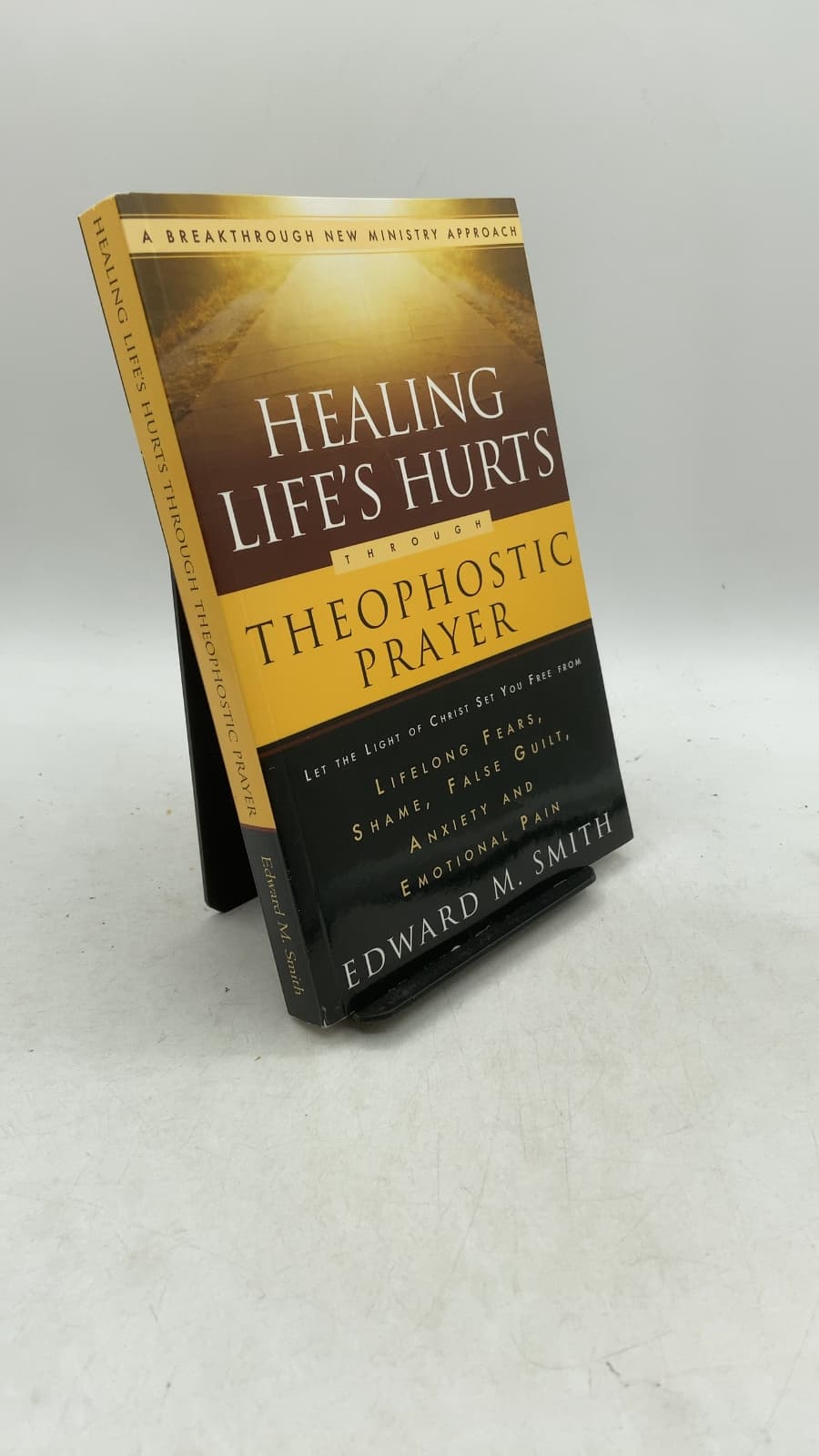 Healing Life's Hurts Through Theophostic Prayer