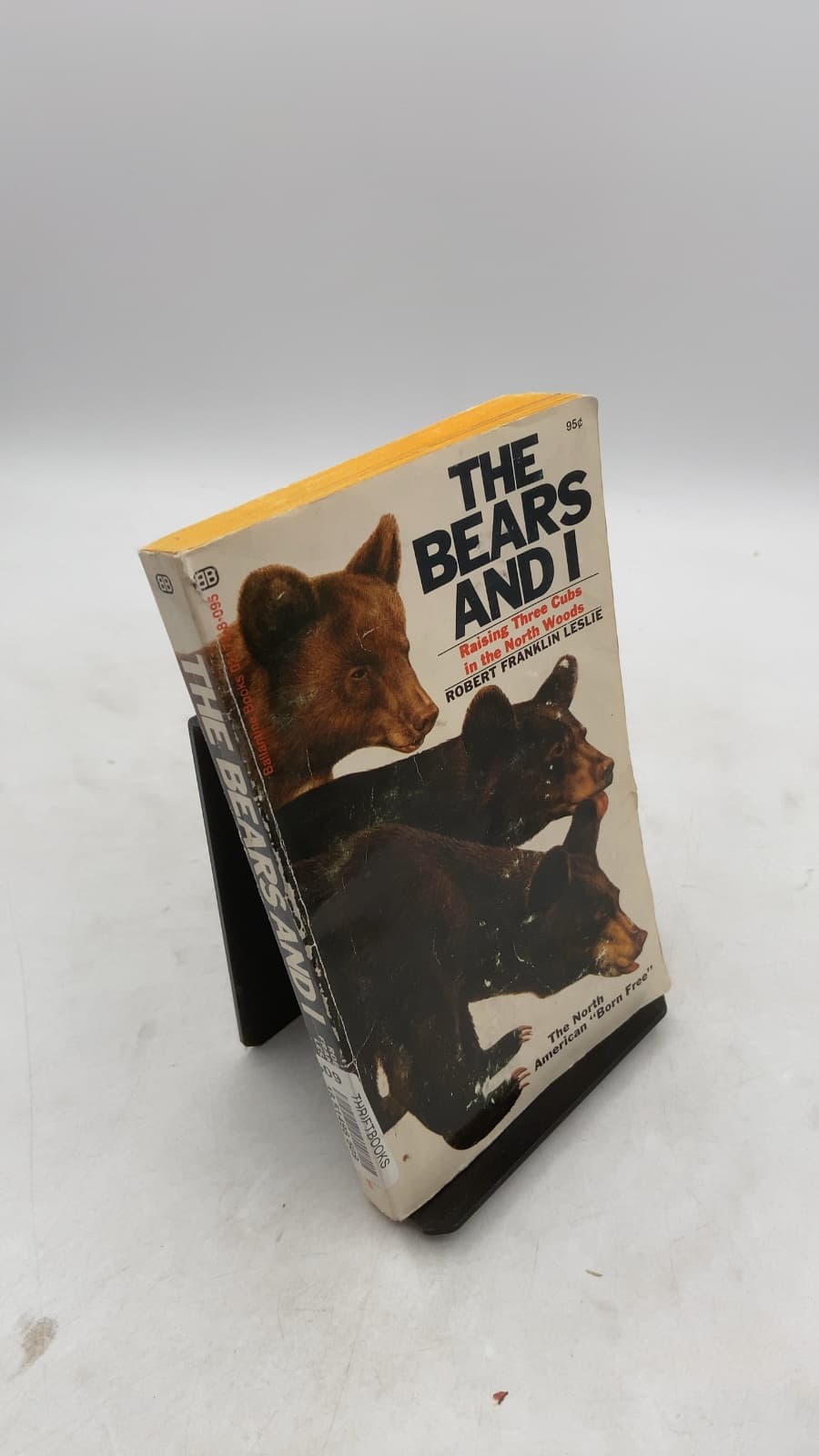 The Bears and I: Raising Three Cubs in the North Woods