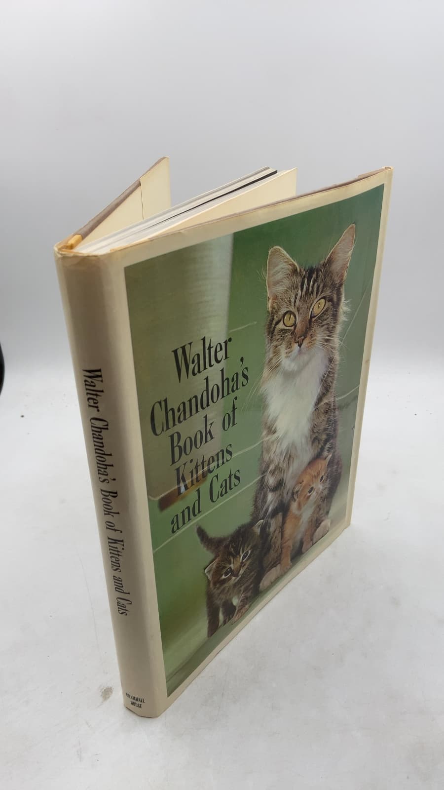 Walter Chandoha's Book of Kittens and Cats by Walter Chandoha - front cover