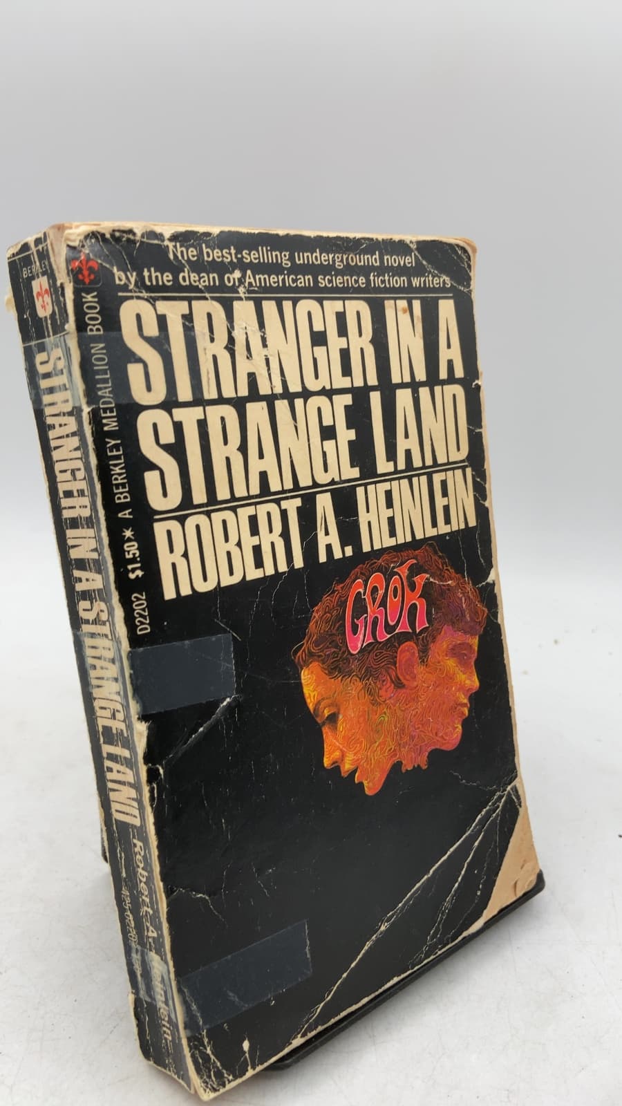 Stranger IN A Strange Land