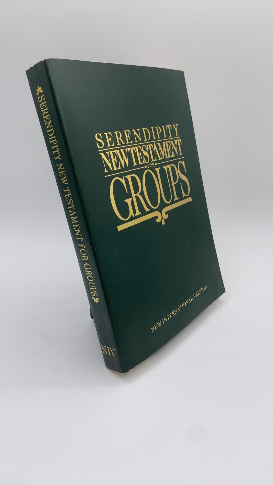Serendipity New Testament for Groups - front cover
